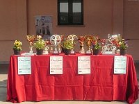 GaraSociale2011-P1020532